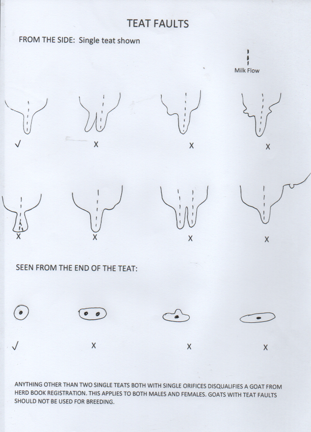 Teat Faults Mullin