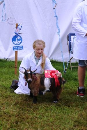 Newburygoatling