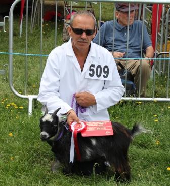 Cranleigh14goatling