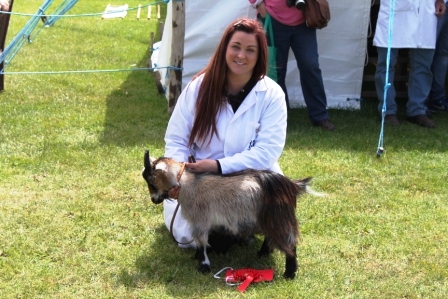 Surrey15goatling