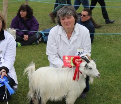 SurreyGoatling