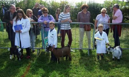 MIMJunior Handler 2nd 3rd