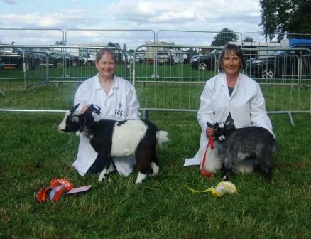 MIMMoreton Novice Exhibitor