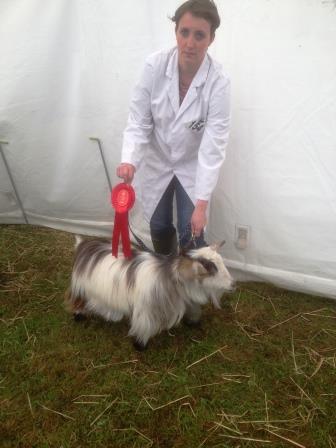 Royal Cornwall Show 010