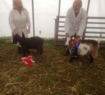 Royal Cornwall Show 021