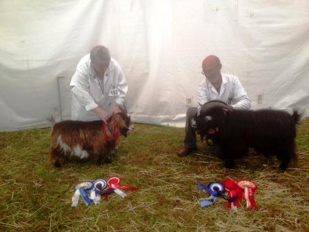 Royal Cornwall Show 029