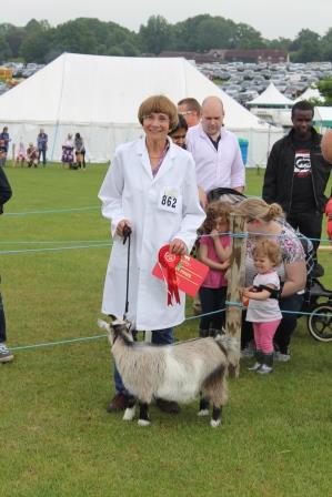 Surreygoatling