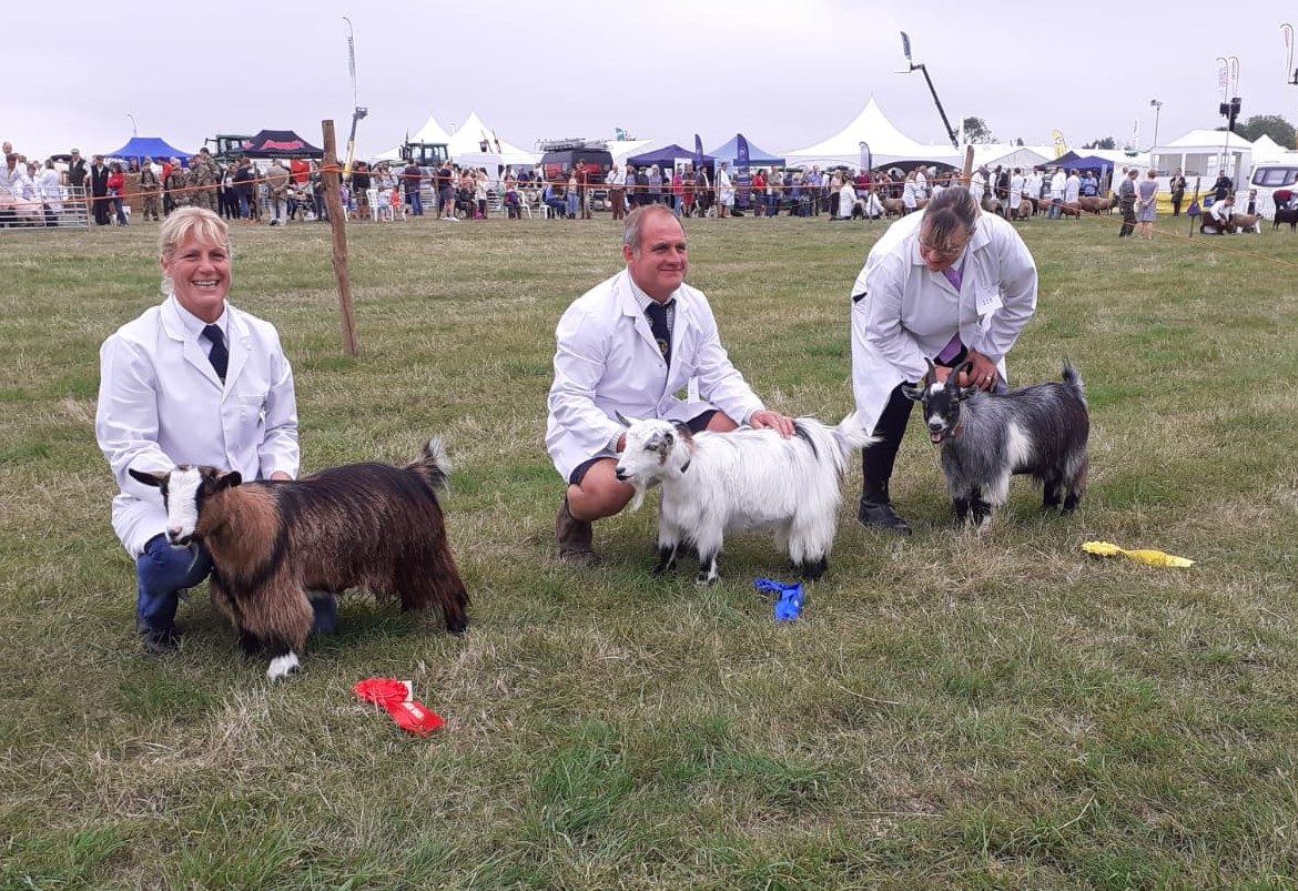 Gransden 2021 Goatling