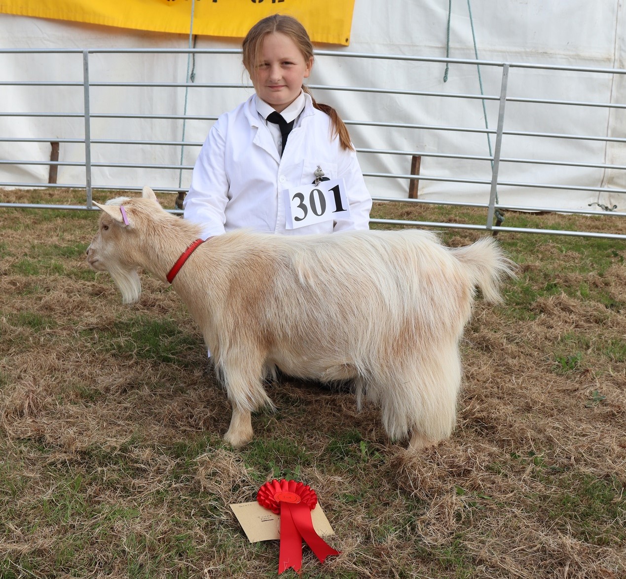 IP1a1st Junior Handler 5 10