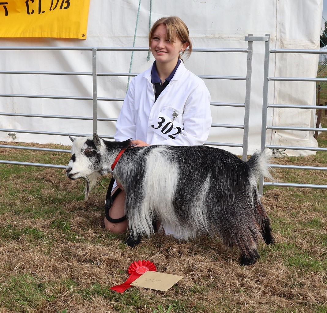 IP1b1st Junior Handler 10 15