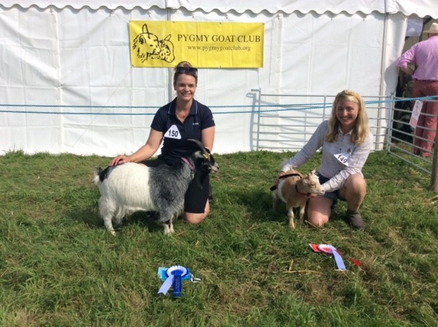 Frome11Novice Handler