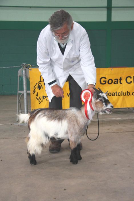 Goatling