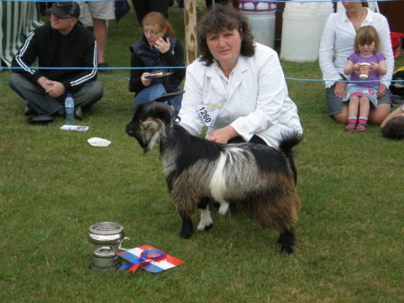 SurreyShow2010032