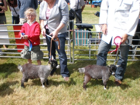 bosworthshow003