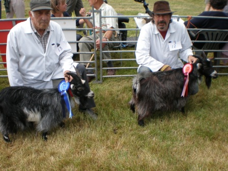 bosworthshow005