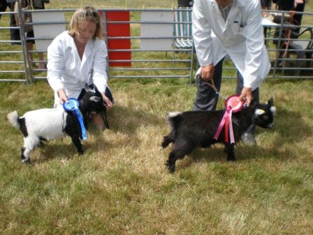 bosworthshow008