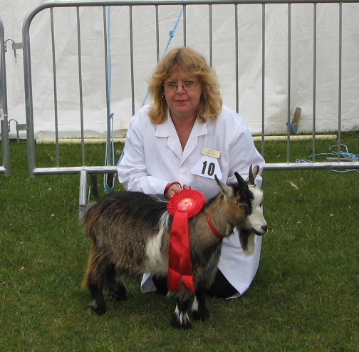 Goatling1