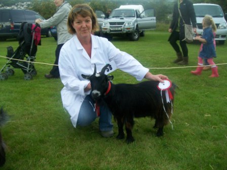 keighleyshow2011goatling